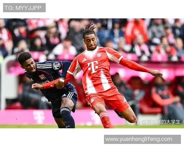 欧冠精彩对决拜仁五球横扫里昂绝杀时刻引发全场狂欢